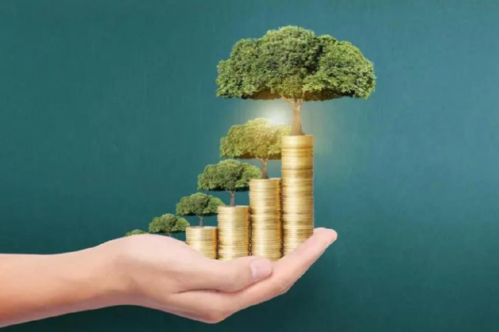 中山民间空放私人借款全天候专业服务